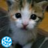 62f93ac1-c8ee-46b5-a1e4-db3407c62a42_normal.png