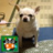ec26e9a2-3547-4ade-888f-34fcaa351658_normal.png